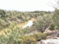 Jordan1090898-Jordanpp
