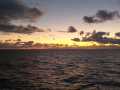 IMG-20200126-WA0009