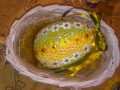 20200401-0031-RM-Ostern-zu-Hause