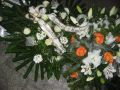 IMG_5068-Bielawski